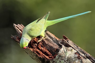 IMG_8903.jpg