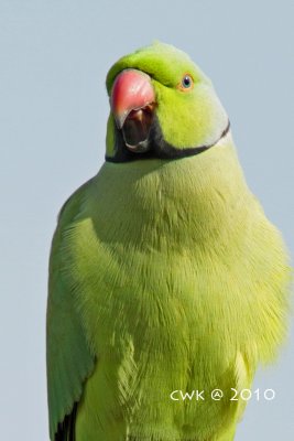 IMG_8991.jpg