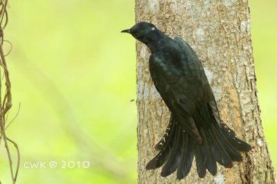 IMG_5504.jpg
