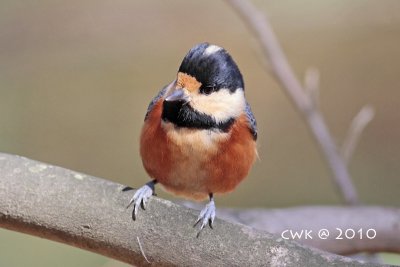 IMG_9162.jpg