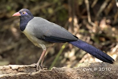 LZ0D9878.jpg