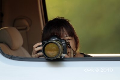 IMG_4228.jpg