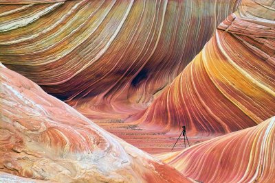 The Wave