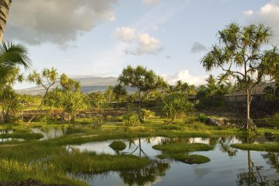 Tropical Lagoon