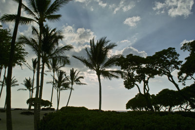 Beach Afternoon