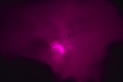 sky.SDIM3313.eclipse.spp4.103m15y.cs3.jpg