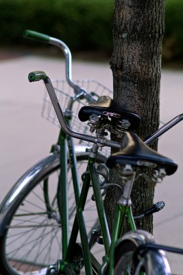 Locked Bikes