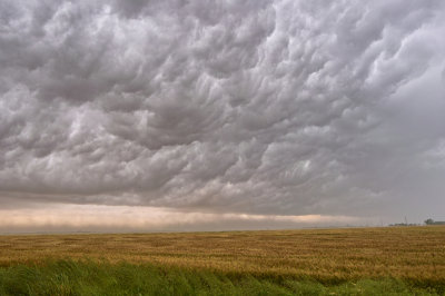 wall cloud over wheat