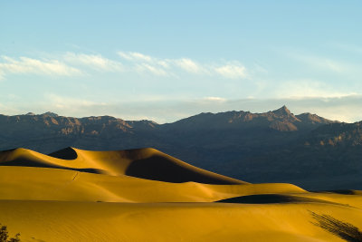 DV Sand Dunes Golden Sunrise