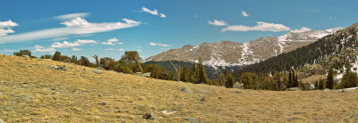 Timberline Tundra