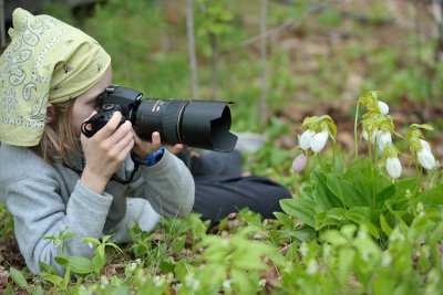 20090524 - Lady Slippers - 137.jpg
