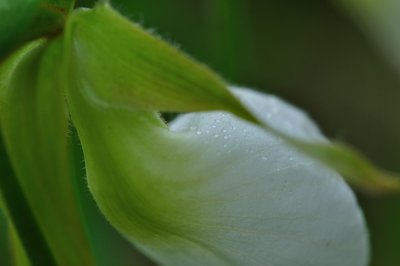20090524 - Maine - 040_1.jpg