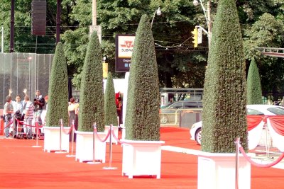 Walk of Fame Red Carpet