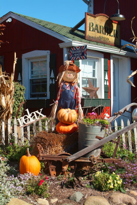 Three Cedar Farms Cider Mill and Kensington Park - Fall 2010