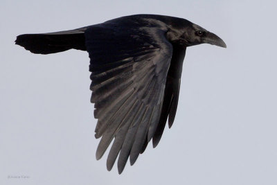 g1/41/245741/3/107894567.iLdeCciA.jpg