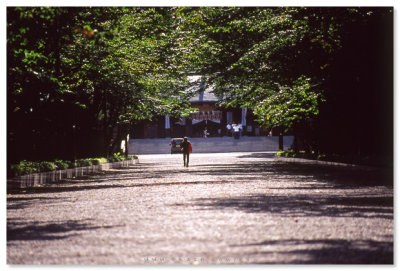 北海道神宮 - Hokkaido Jingu