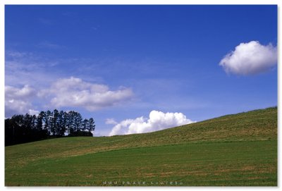 美瑛一景