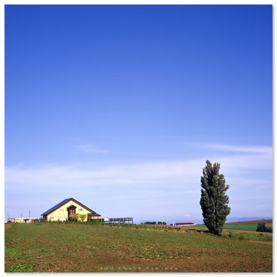  Hokkaido - 日本北海道