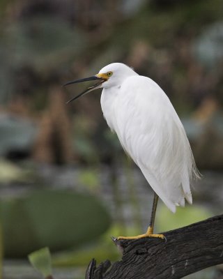 IMG_7933_a.jpg