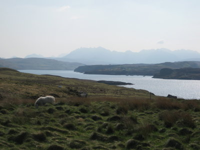 09scotland_47.JPG