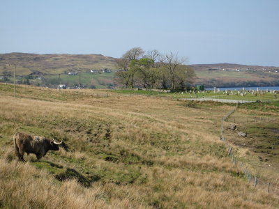 09scotland_48.JPG