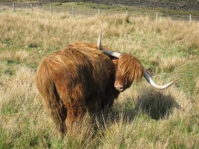 09scotland_54.JPG