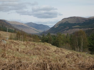 09scotland_68.JPG