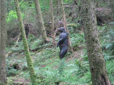 cumbriachallenge_05.JPG
