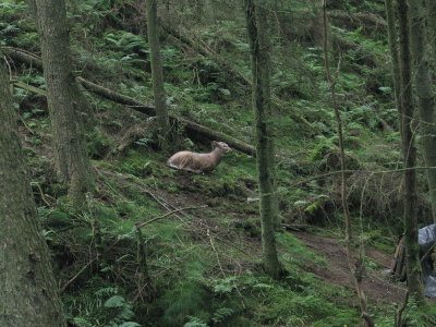 cumbriachallenge_09.jpg
