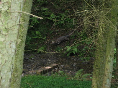 cumbriachallenge_11.JPG