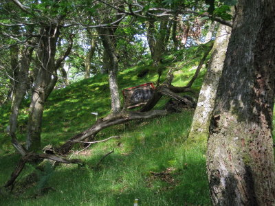 cumbriachallenge_24.JPG