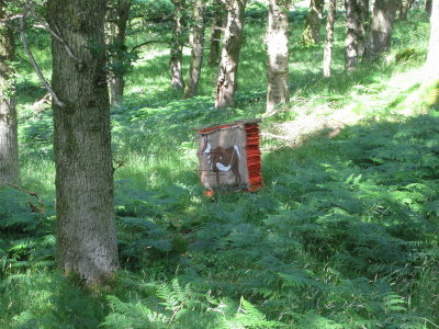 cumbriachallenge_26.JPG