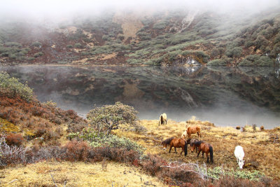 Bhutan country-021.jpg