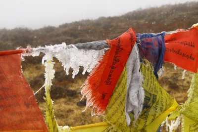 Bhutan country-027.jpg