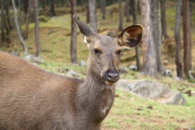 Bhutan country-034.jpg