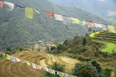 Bhutan country-046.jpg