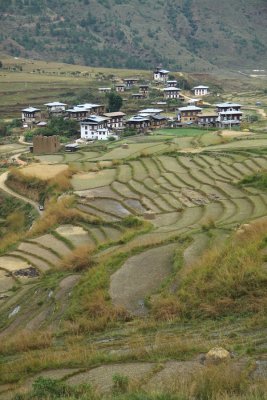 Bhutan country-048.jpg