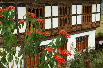 Bhutan country-049.jpg