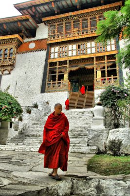 Bhutan country-058.2.jpg