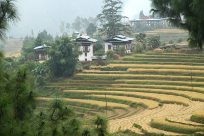 Bhutan country-067.jpg