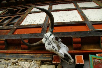 Bhutan country-105.jpg