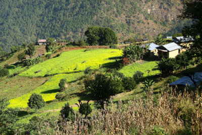 Bhutan country-130.jpg