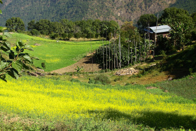 Bhutan country-131.jpg