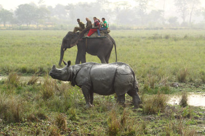as-120.jpg