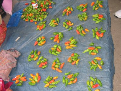 worlds strongest chillipeppers