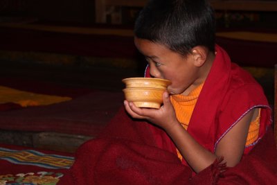  Bhutan and N.E. India 2010