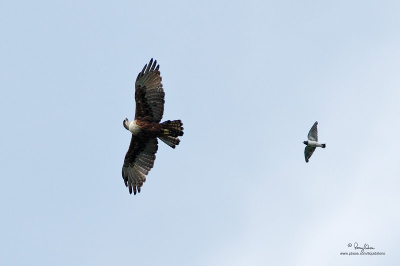 IMG_7035-1200x800.jpg