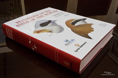 HBW NO. 13. I just picked up this tome, coming all the way from Spain, at our local post office.... it's the Handbook of the Birds of the World - Volume 13. :)

[40D + Sigma 24 1.8 DG]
