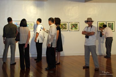 g1/41/379541/3/114826974.XBUrCven.jpg