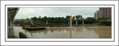   A Wet Day at Wetland Park